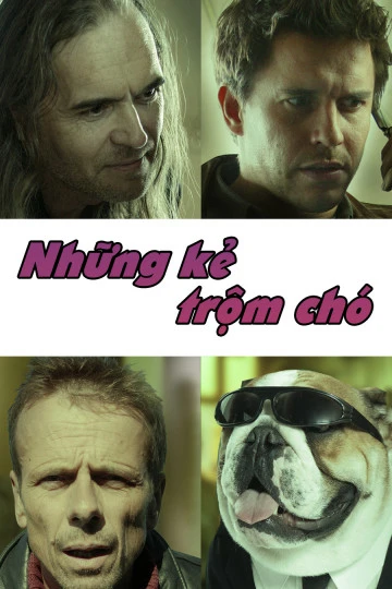 Xem phim Những Kẻ Trộm Chó - Lost Dogs