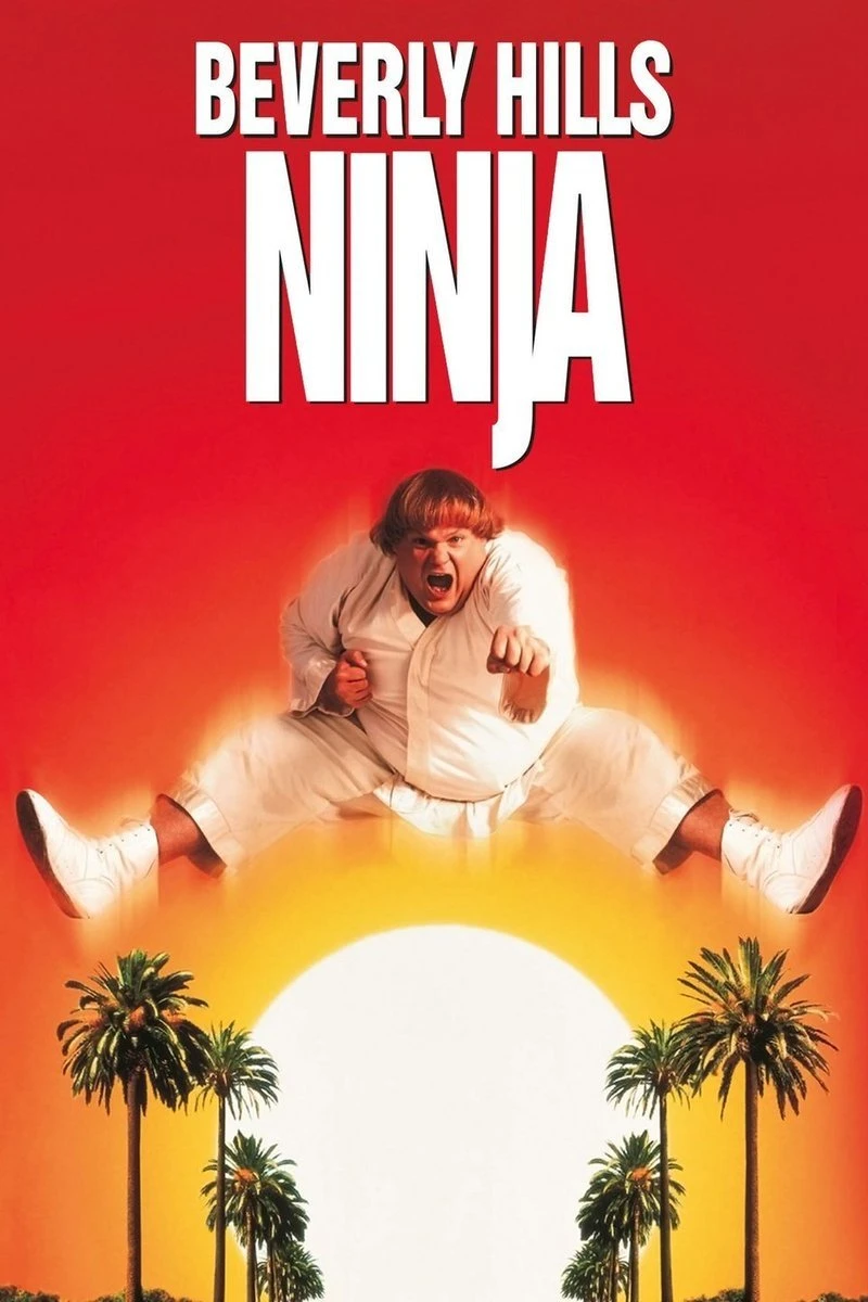 Xem phim Ninja Đồi Beverly - Beverly Hills Ninja