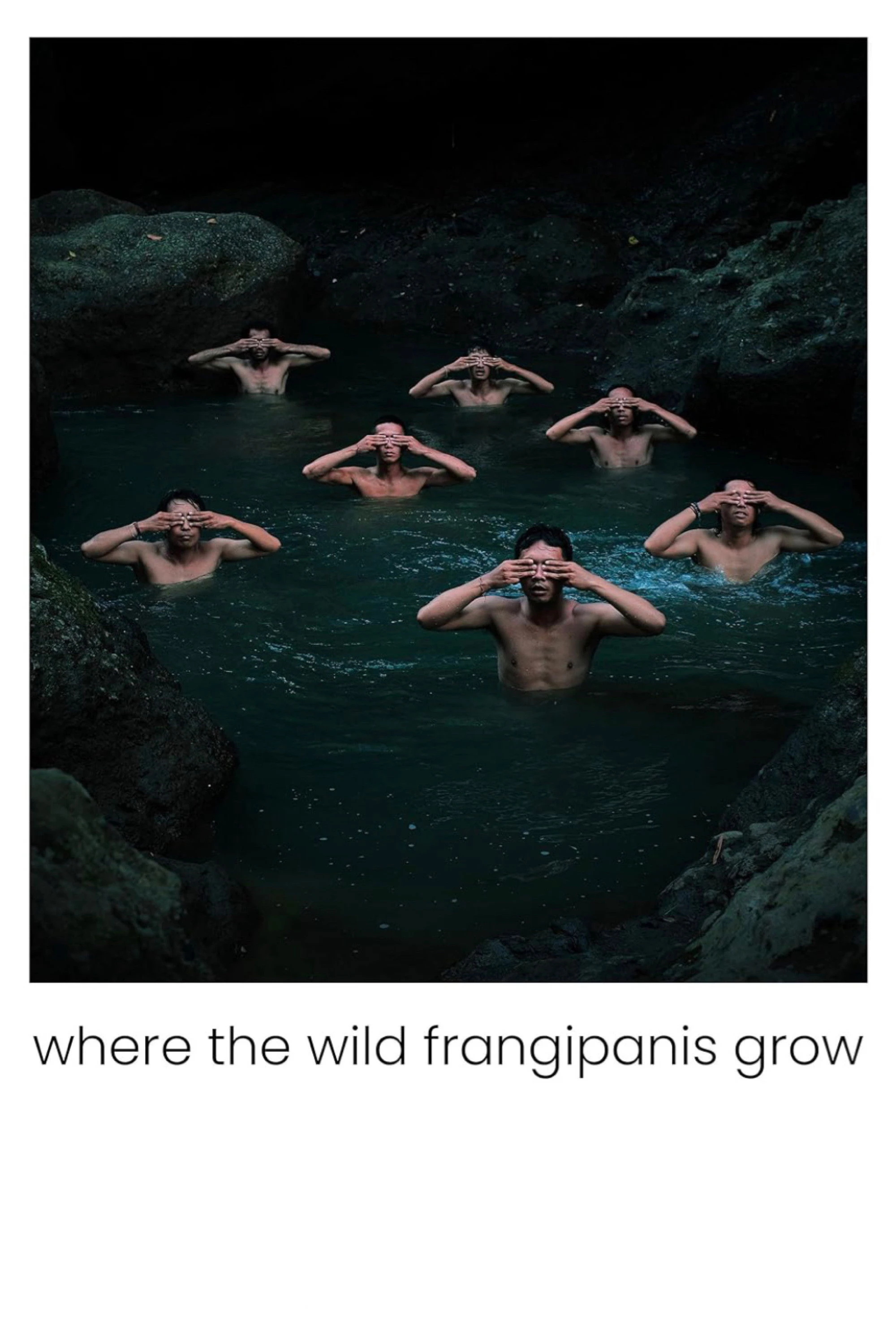 Xem phim Nơi Hoa Sứ Dại Mọc - Where The Wild Frangipanis Grow