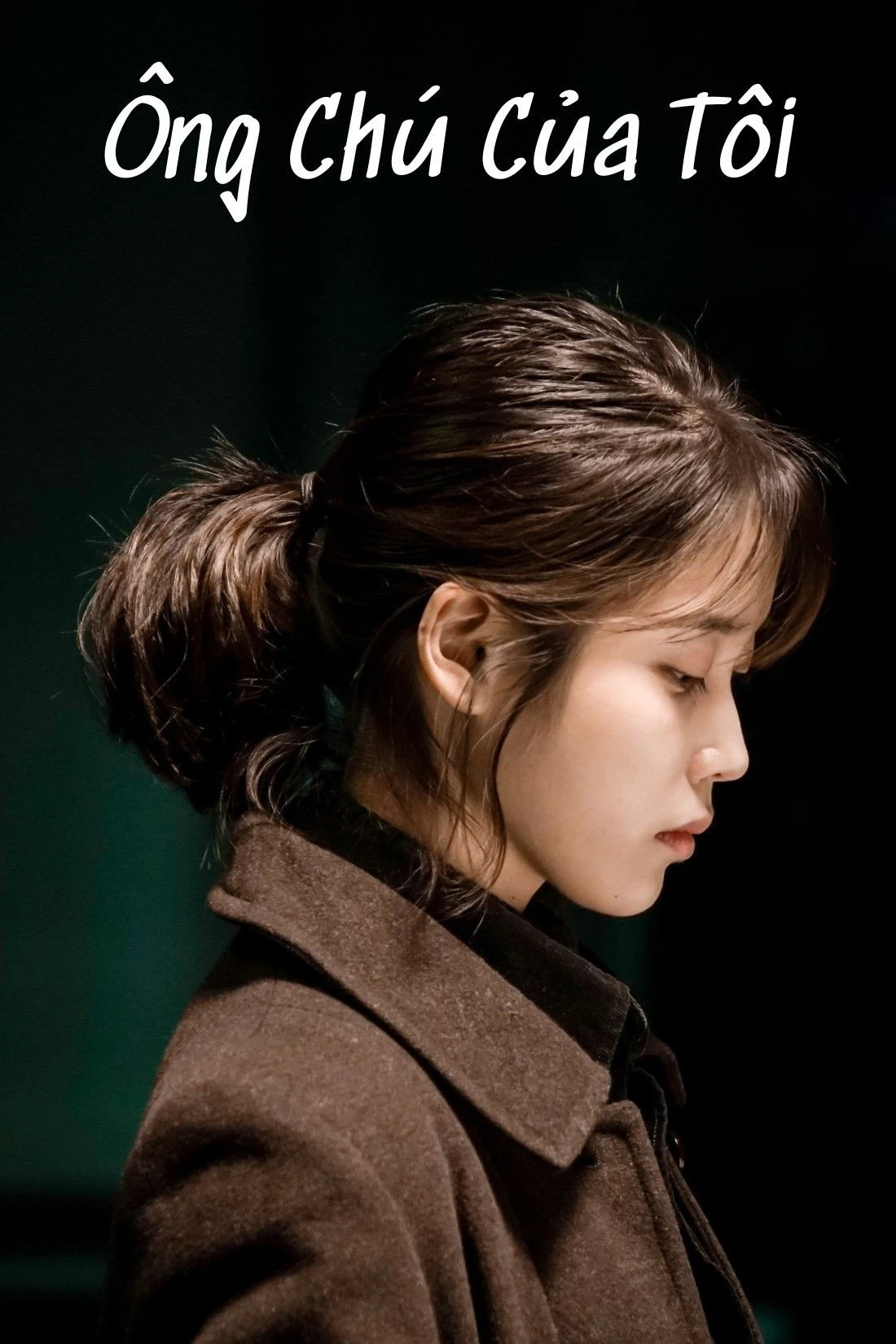 Xem phim Ông Chú Của Tôi - My Mister
