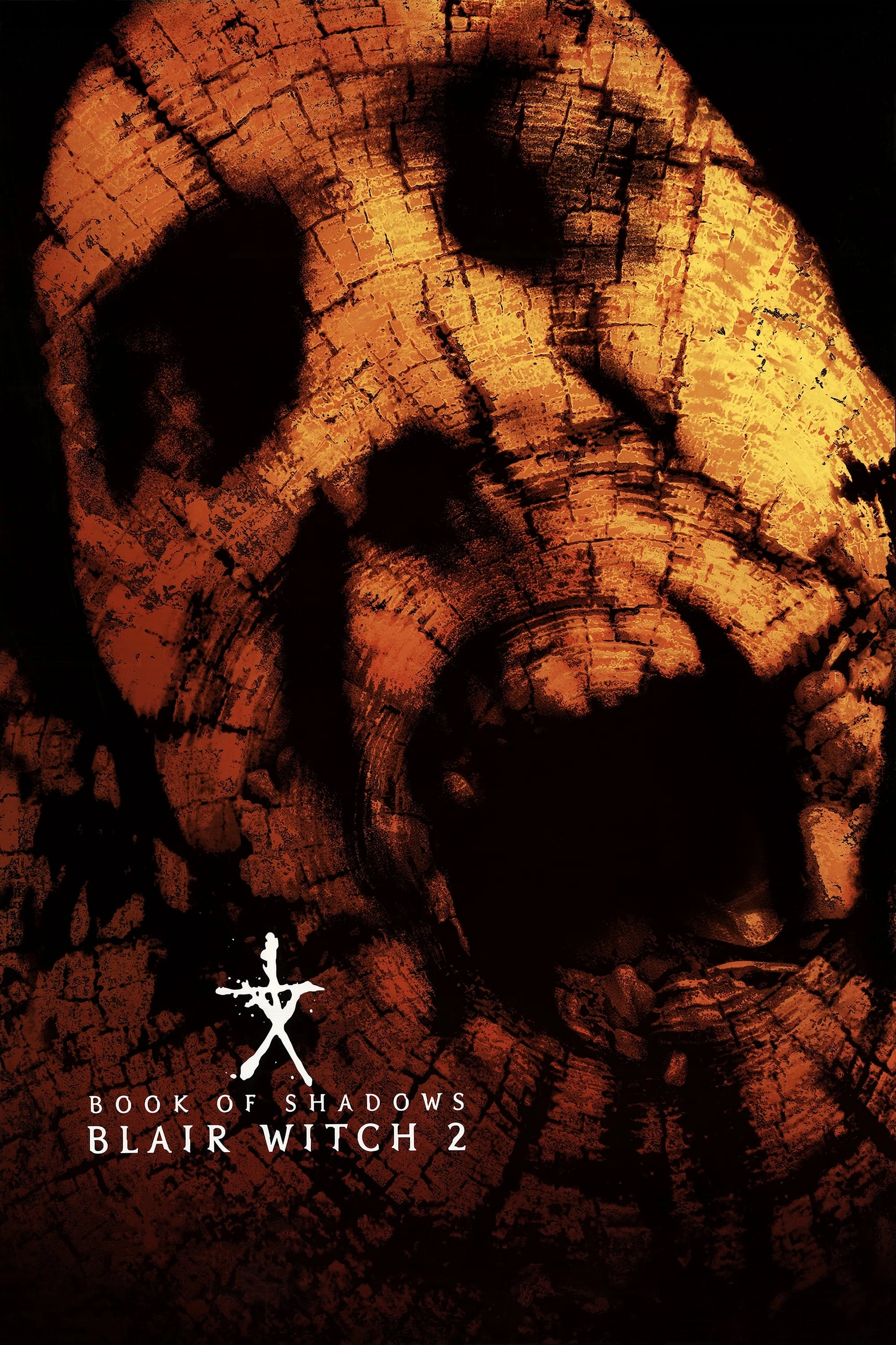 Xem phim Phù Thủy Rừng Blair 2: Quyển Sách Bóng Đêm - Book of Shadows: Blair Witch 2