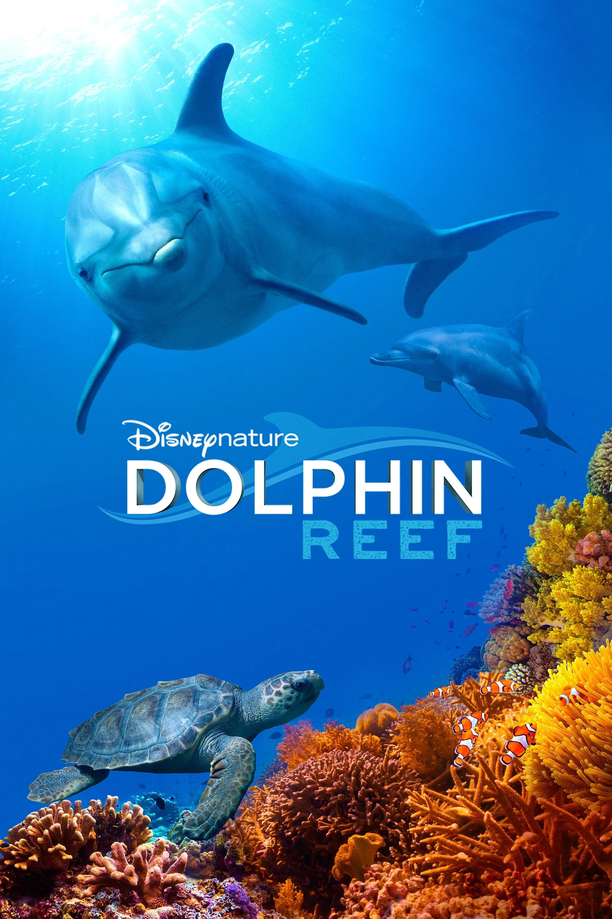 Xem phim Rạn San Hô Cá Heo - Dolphin Reef