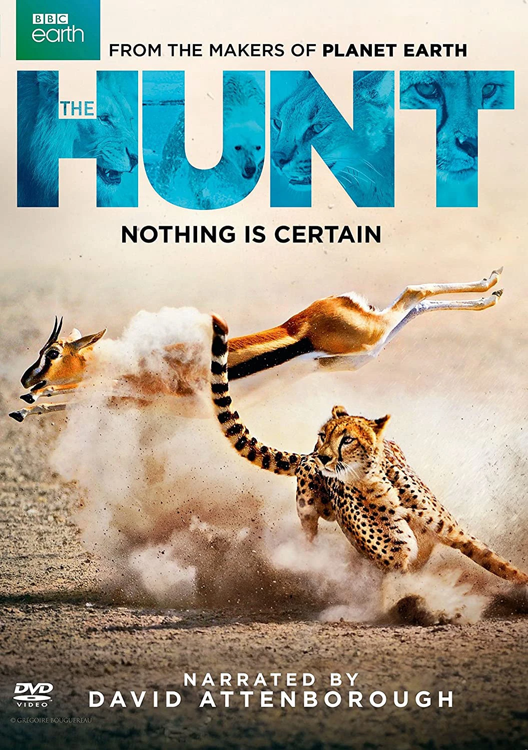 Xem phim Săn Mồi - BBC: The Hunt