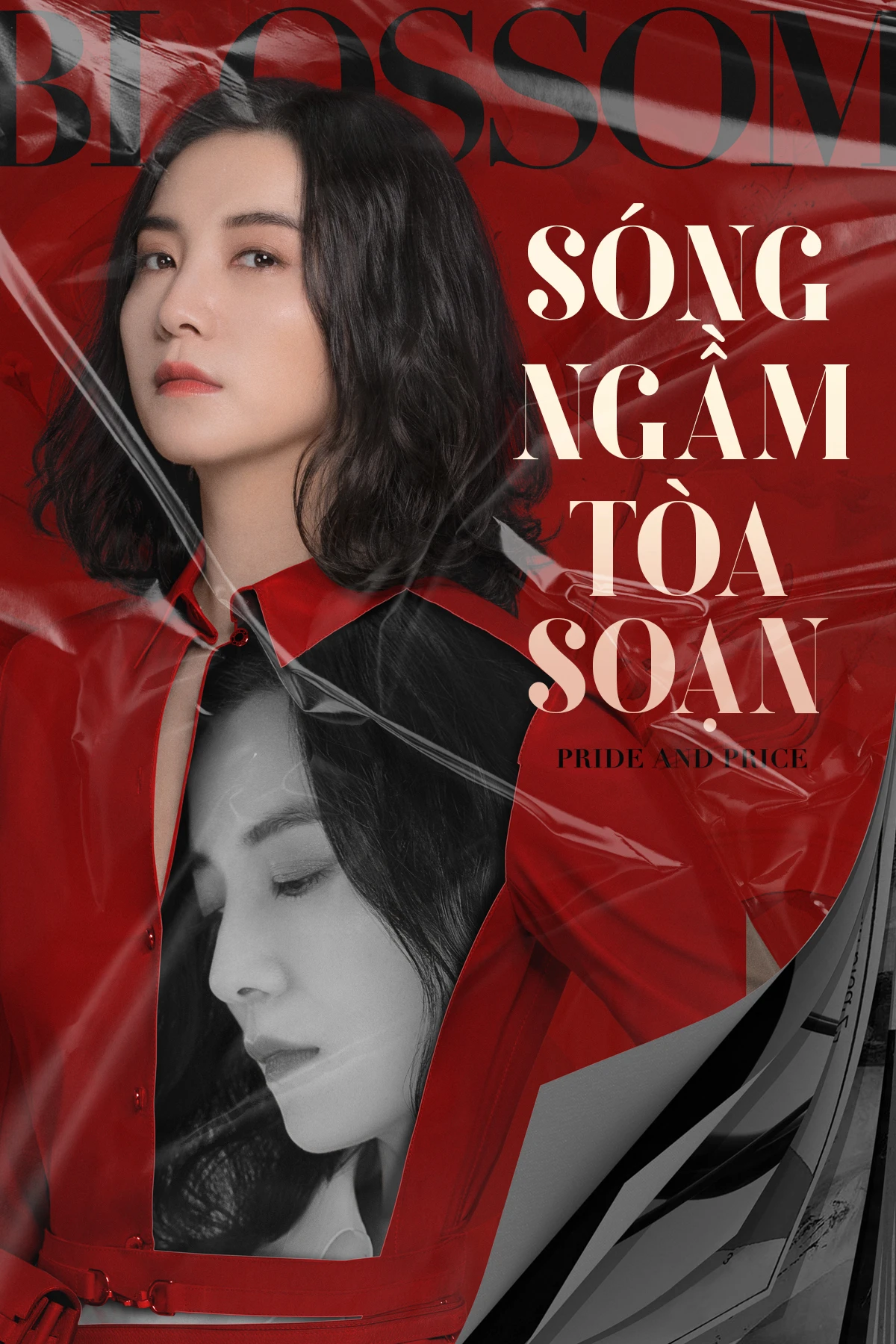 Xem phim Sóng Ngầm Tòa Soạn - Pride And Price