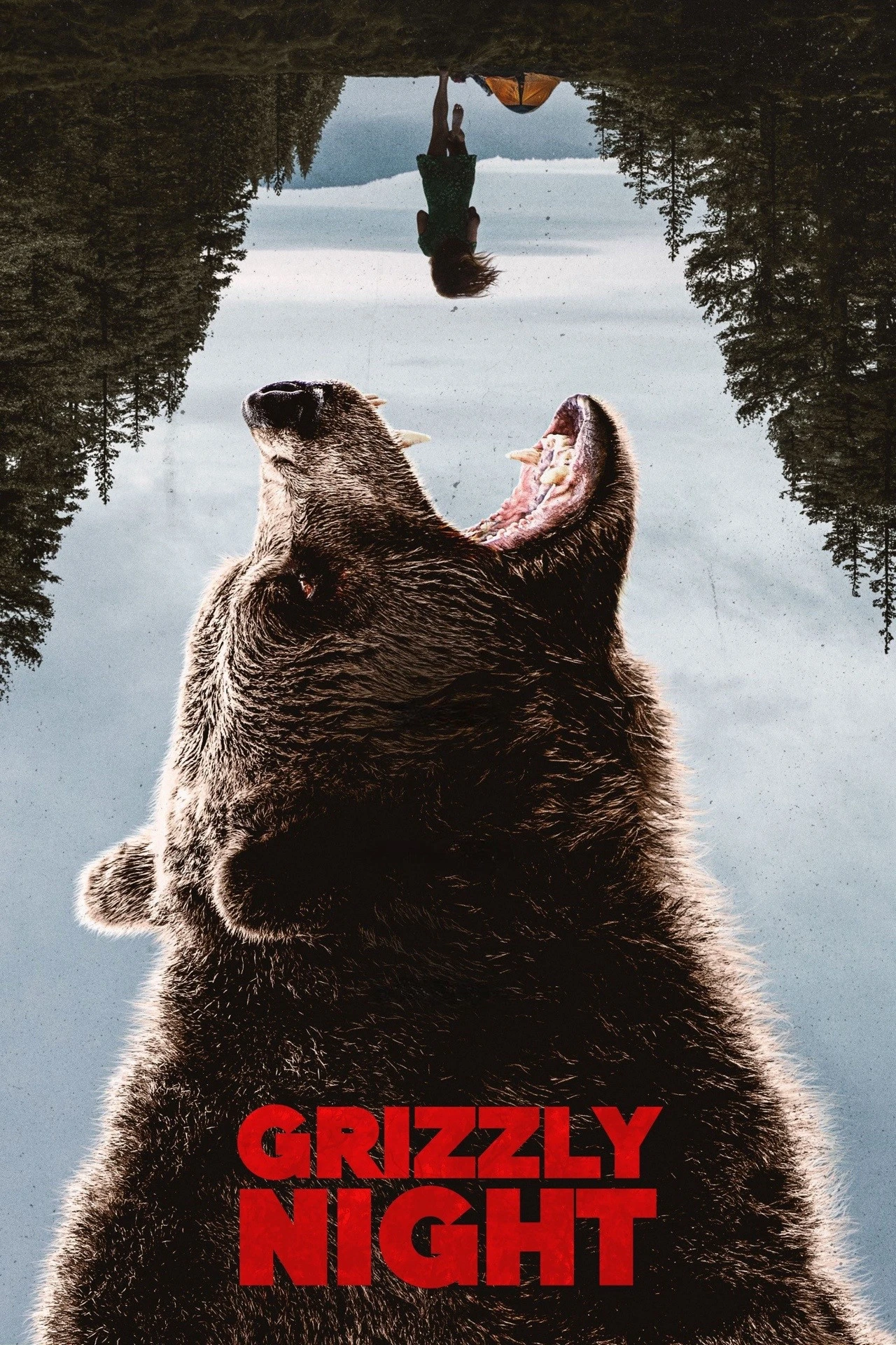 Xem phim Thảm Kịch Gấu Nâu - Grizzly Night