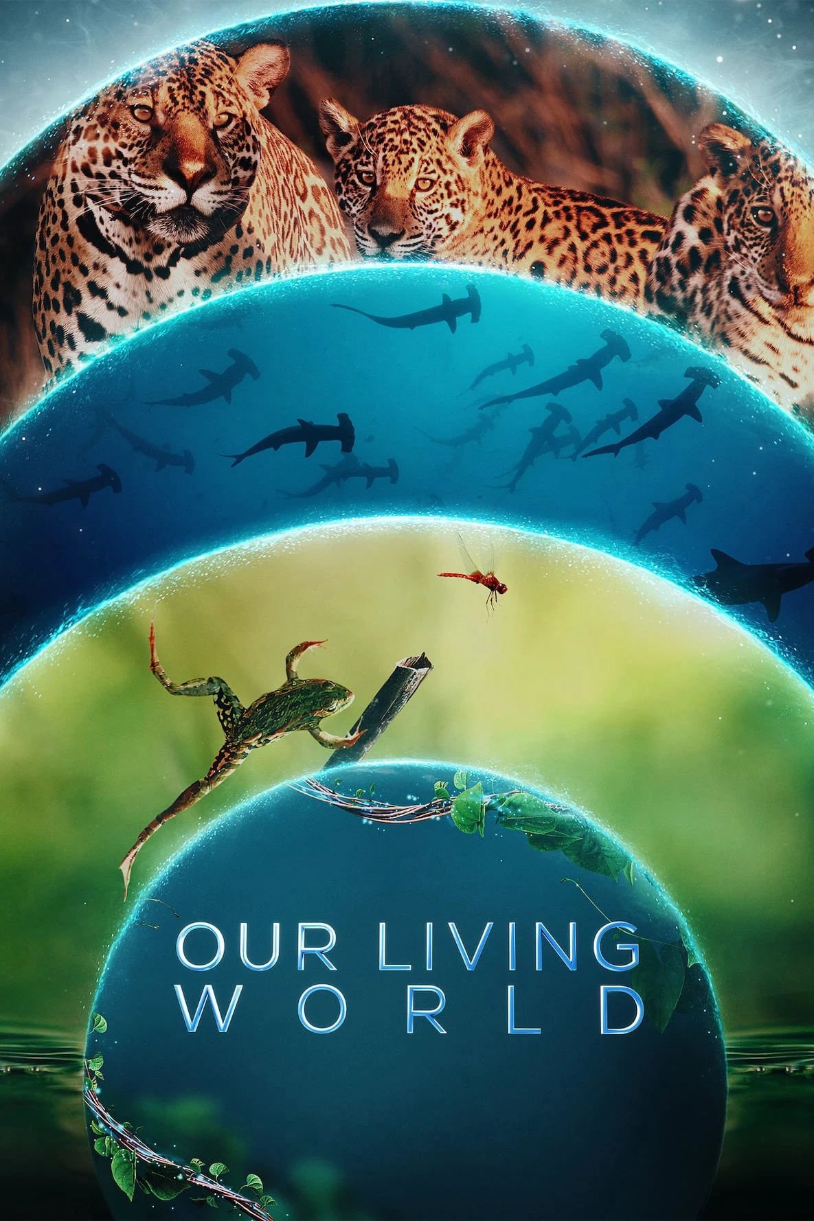 Xem phim Thế Giới Sống Của Chúng Ta - Our Living World