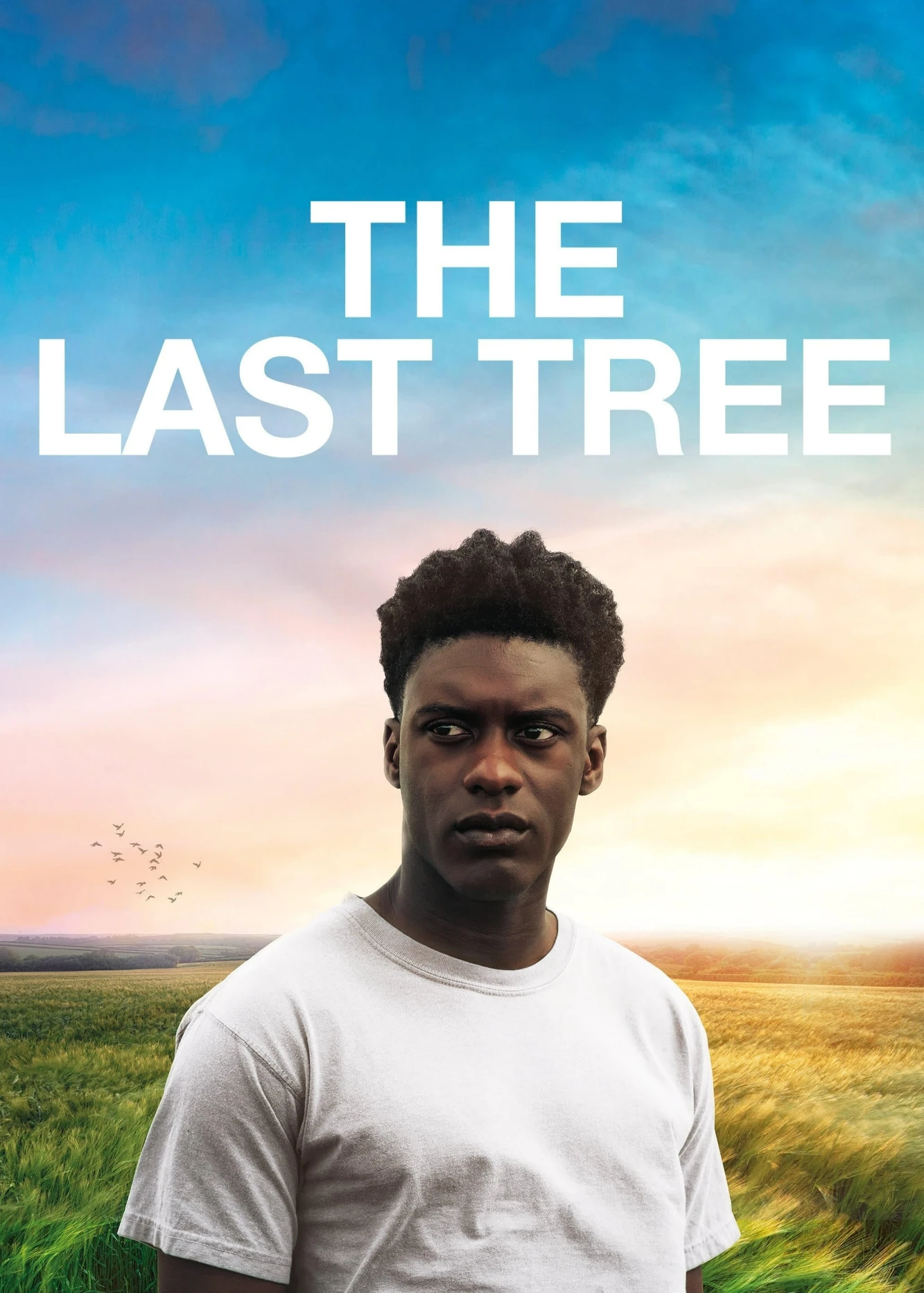 Xem phim The Last Tree - The Last Tree