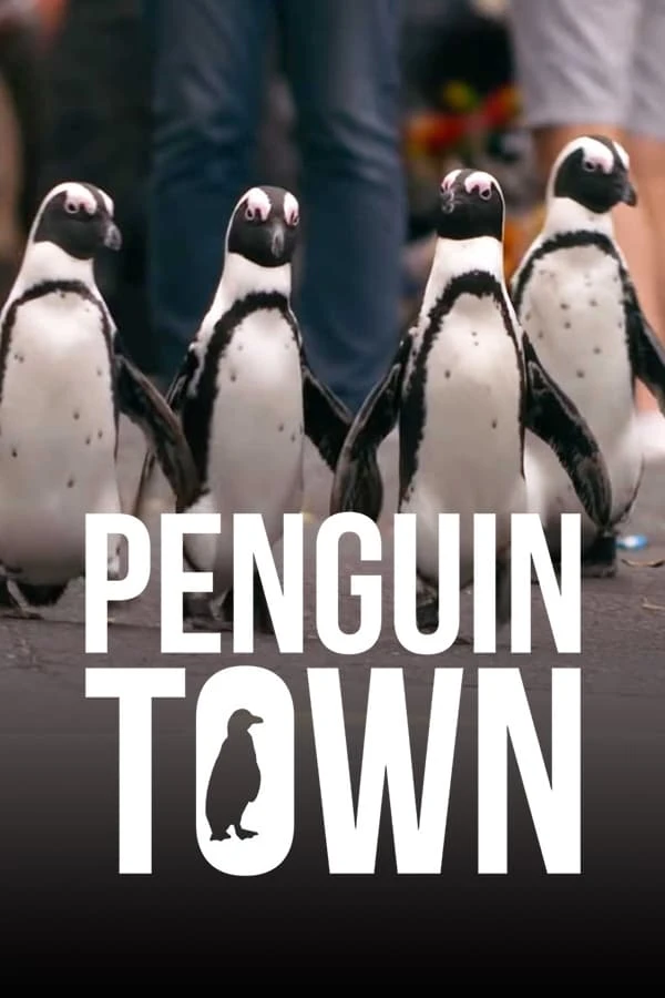 Xem phim Thị trấn cánh cụt - Penguin Town