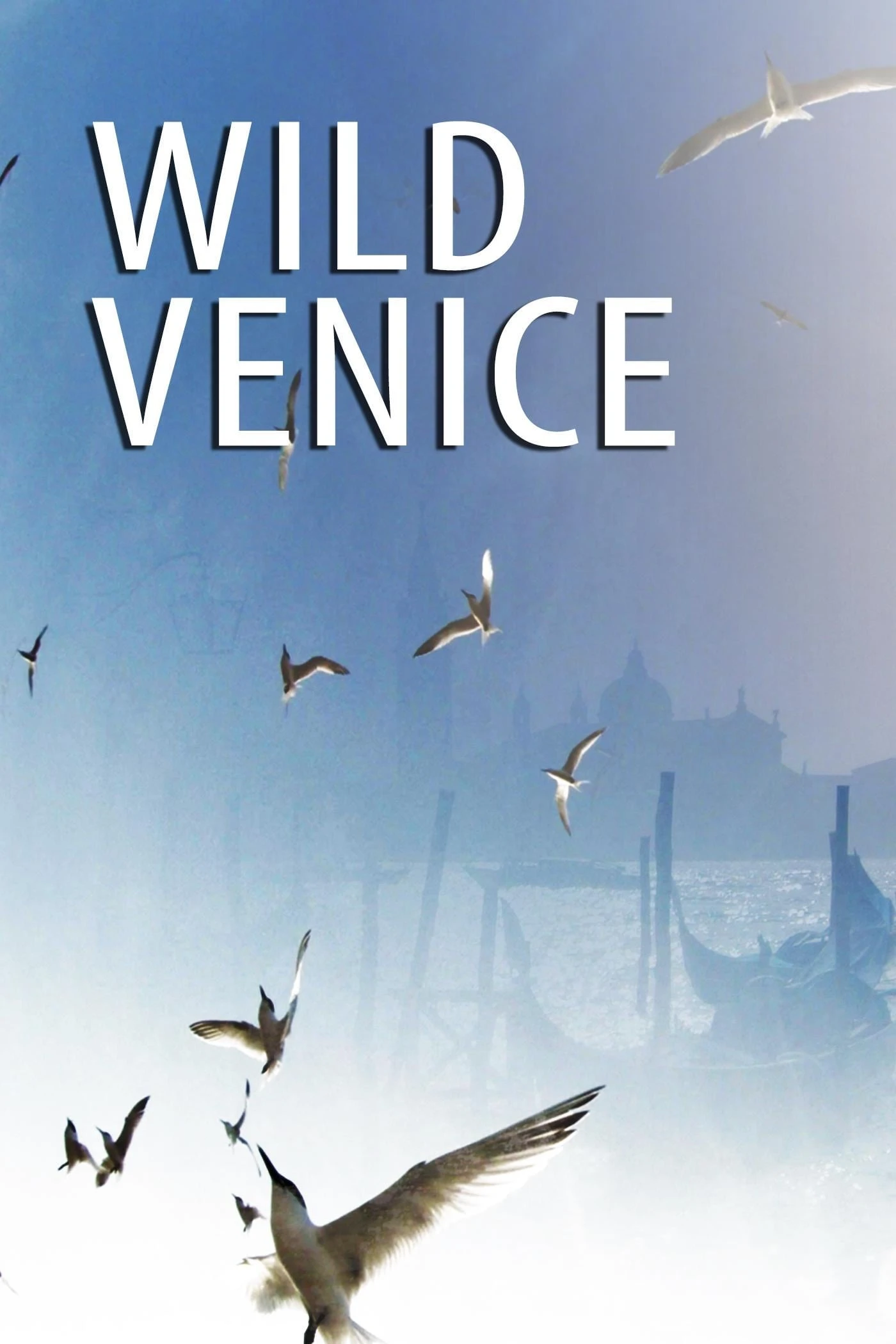 Xem phim Thiên Nhiên Hoang Dã Venice - Wild Venice