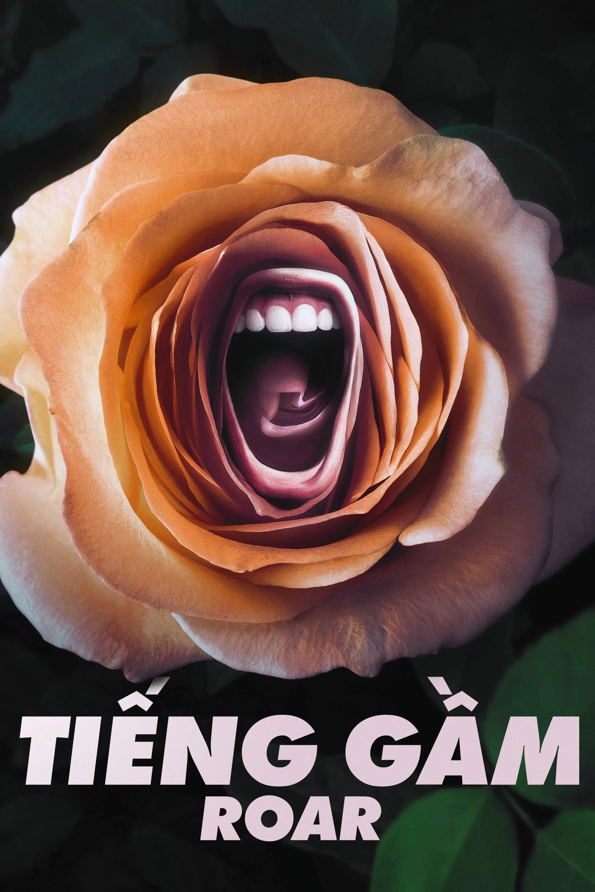 Xem phim Tiếng Gầm - Roar
