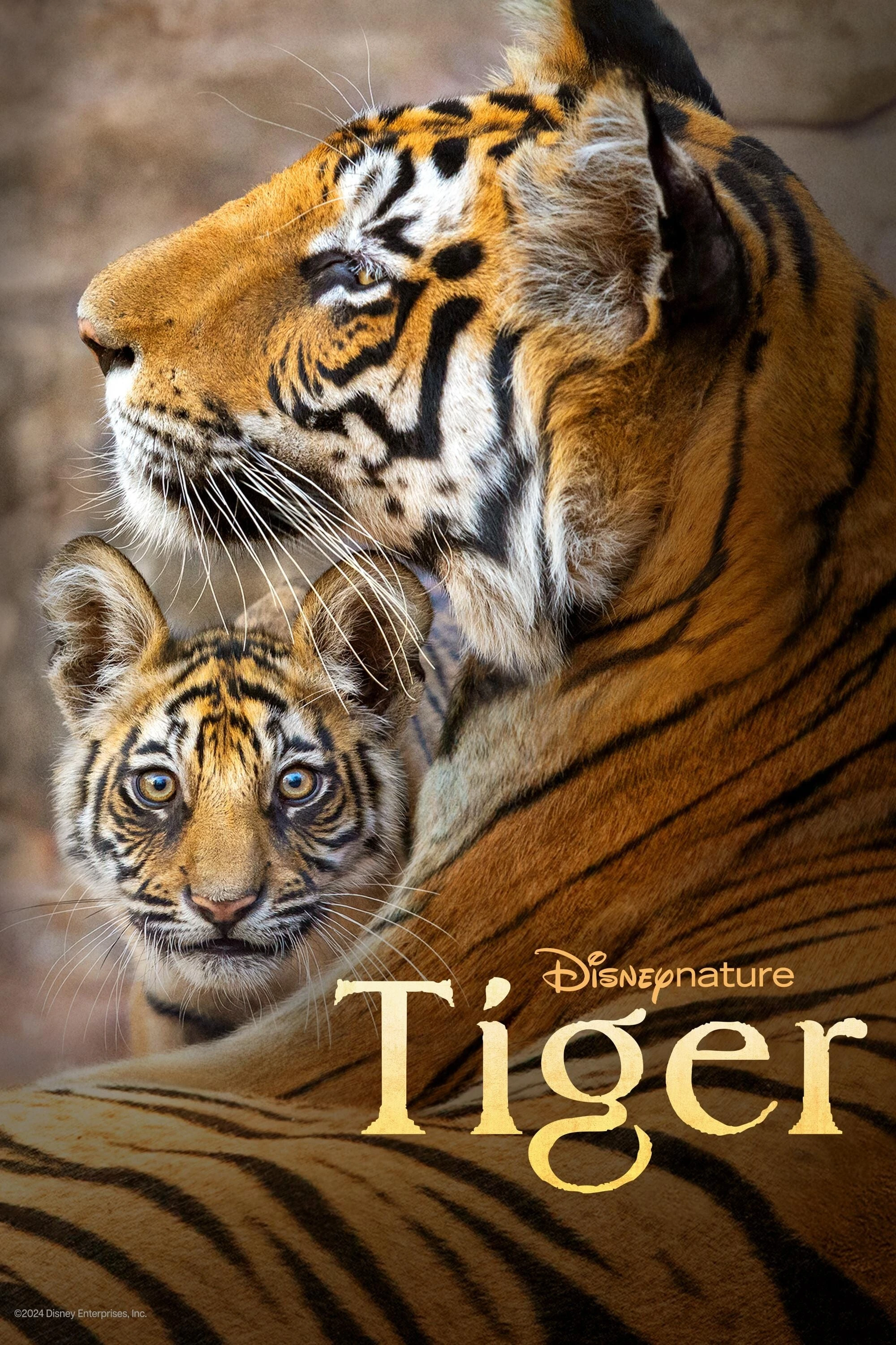 Xem phim Tiger - Tiger