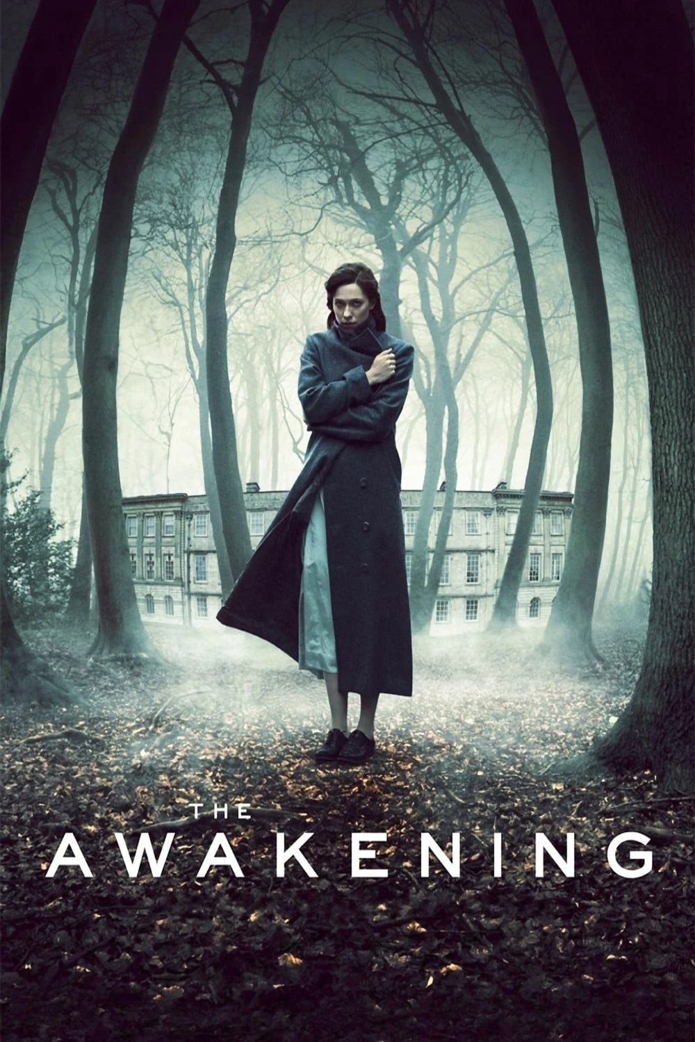 Xem phim Tỉnh Giấc - The Awakening
