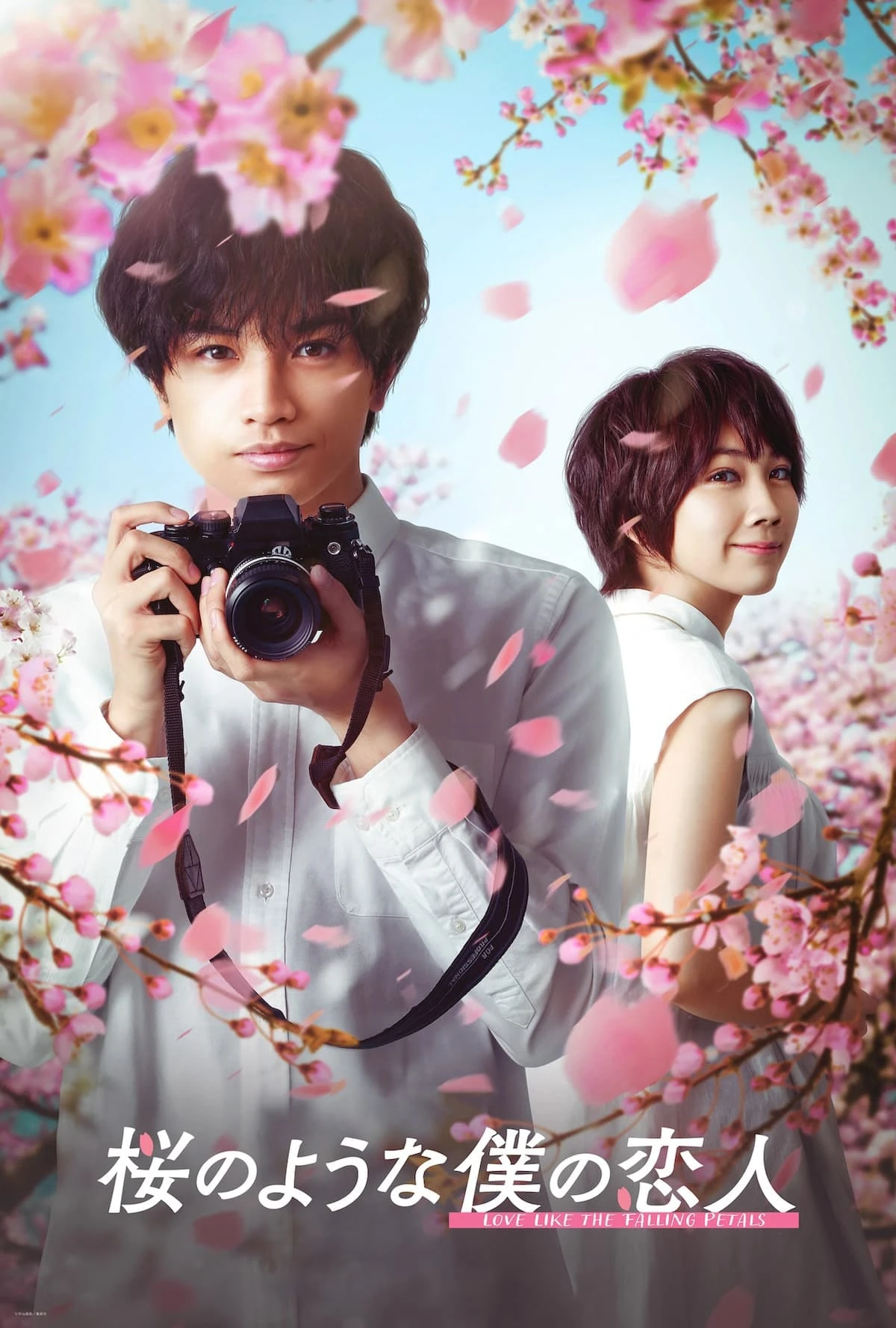 Xem phim Tình Yêu Như Cánh Hoa Rơi - Love Like the Falling Petals