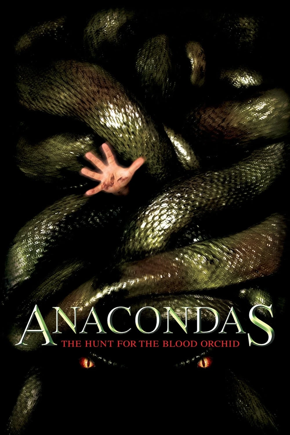 Xem phim Trăn Khổng Lồ: Săn Lùng Huyết Lan - Anacondas: The Hunt for the Blood Orchid