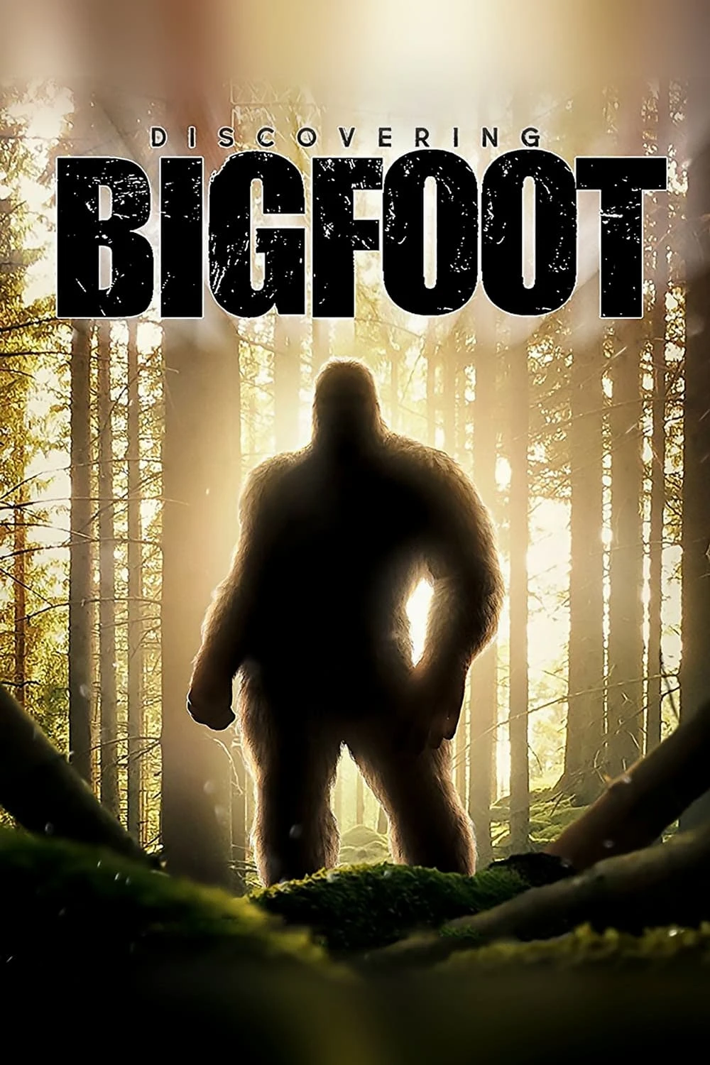 Xem phim Truy Tìm Bigfoot - Discovering Bigfoot