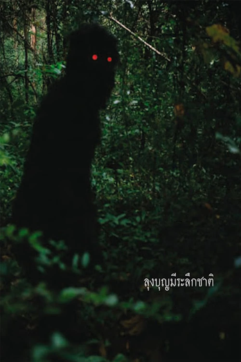Xem phim Uncle Boonmee Who Can Recall His Past Lives - Uncle Boonmee Who Can Recall His Past Lives