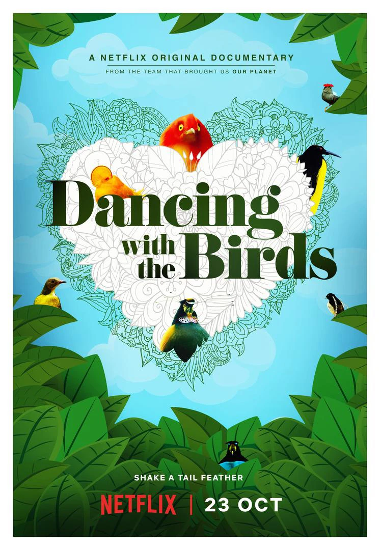 Xem phim Vũ Điệu Của Loài Chim - Dancing With The Birds