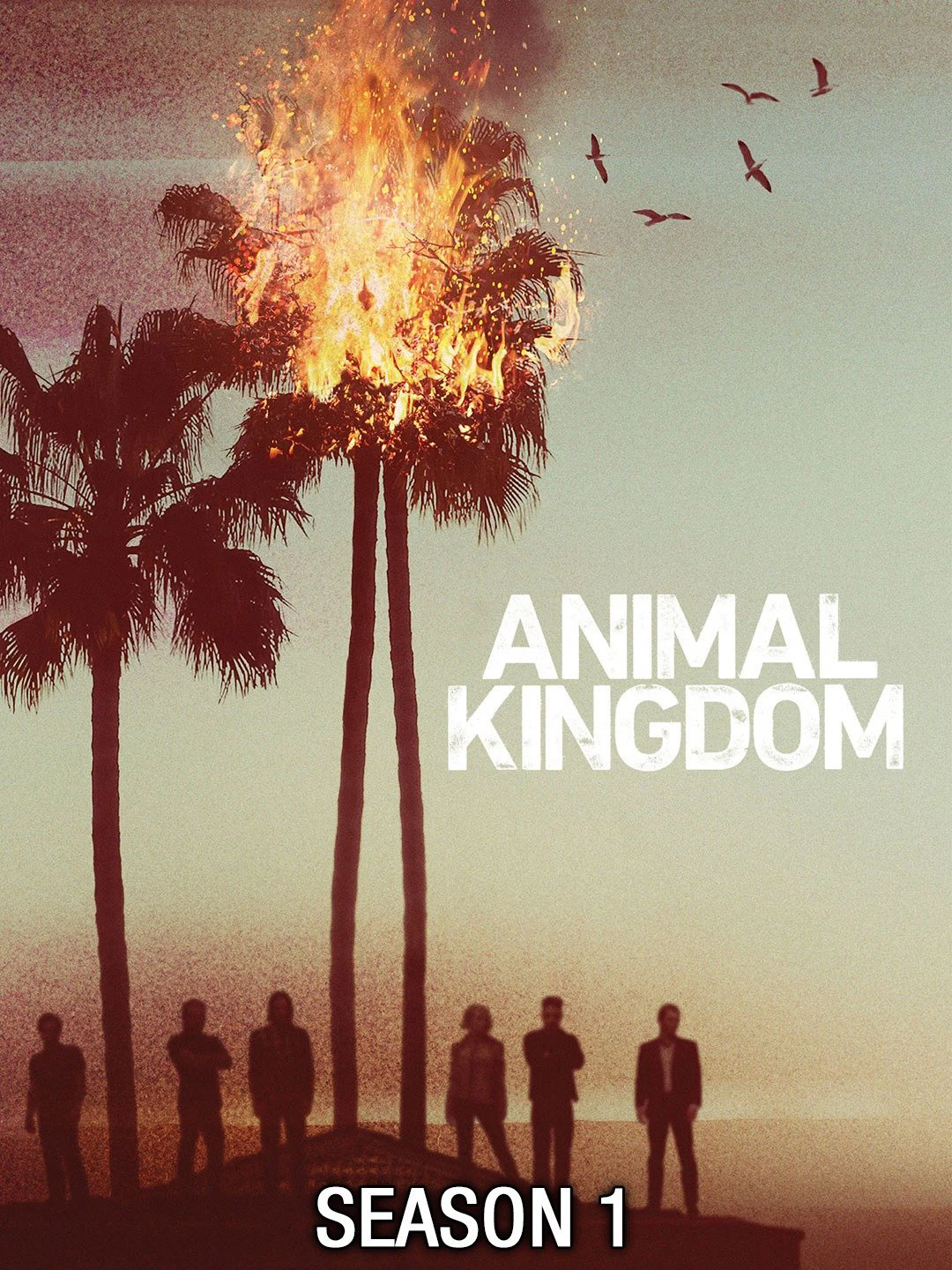 Xem phim Vương Quốc Động Vật (Phần 1) - Animal Kingdom (Season 1)