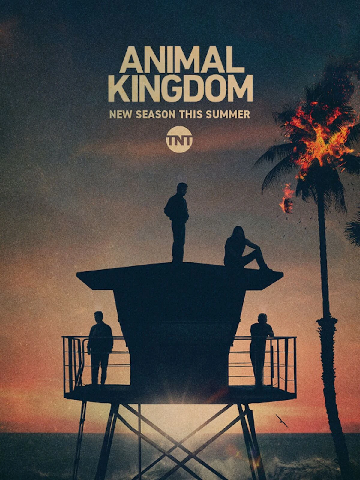 Xem phim Vương Quốc Động Vật (Phần 5) - Animal Kingdom (Season 5)