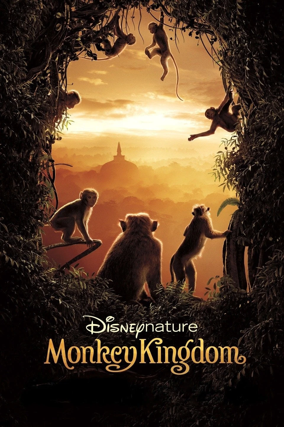 Xem phim Vương Quốc Loài Khỉ - Monkey Kingdom