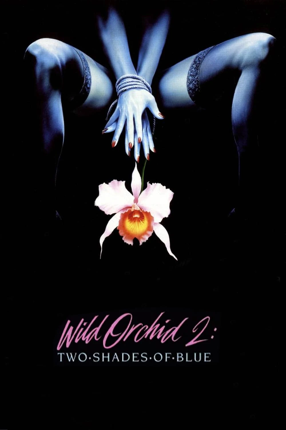Xem phim Wild Orchid II: Two Shades of Blue - Wild Orchid II: Two Shades of Blue